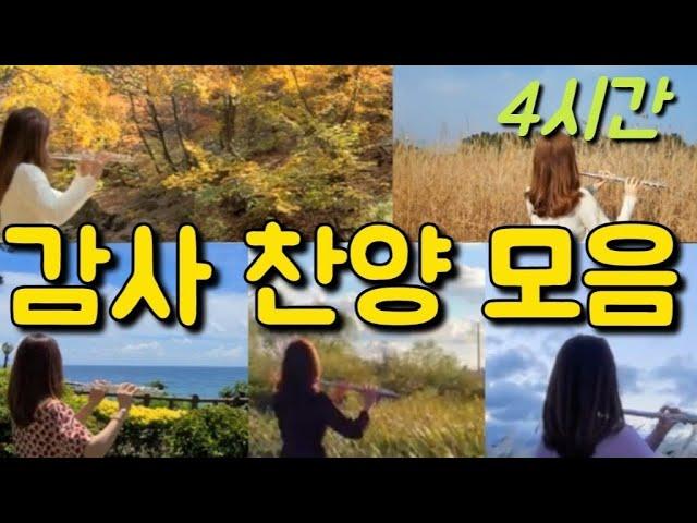 감사 찬양 모음 4시간  은혜, 공중 나는 새를 보라, 날 구원하신 주 감사, 감사해, 충만 추수감사찬양