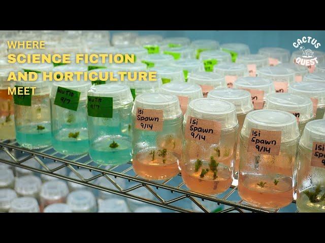 Cloning plants using tissue culture propagation #cactusquest #hiddenagave