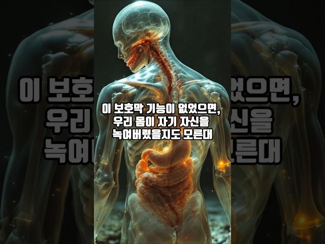 인간의 위는 3~4시간마다 스스로 보호막을 다시 만든다. ️