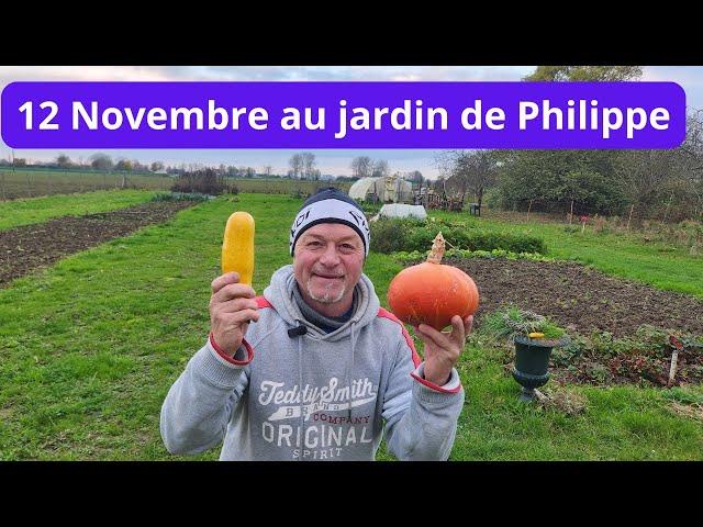 12 novembre au jardin  de  Philippe.....  On a bien travaillé ce week-end !