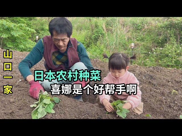 二婚嫁到日本農村，開荒種菜的一天！又給鄰居送菜啦