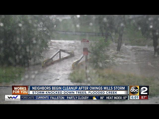 Neighbors in Owings Mills clean up after Monday's storm