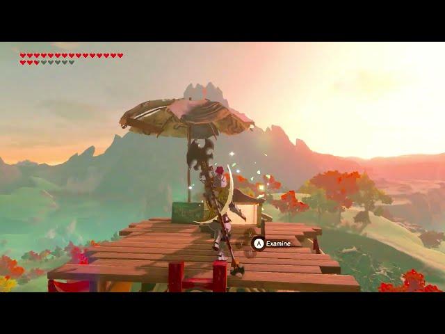 Infinite Korok Seed Glitch - The Legend of Zelda Breath of the Wild