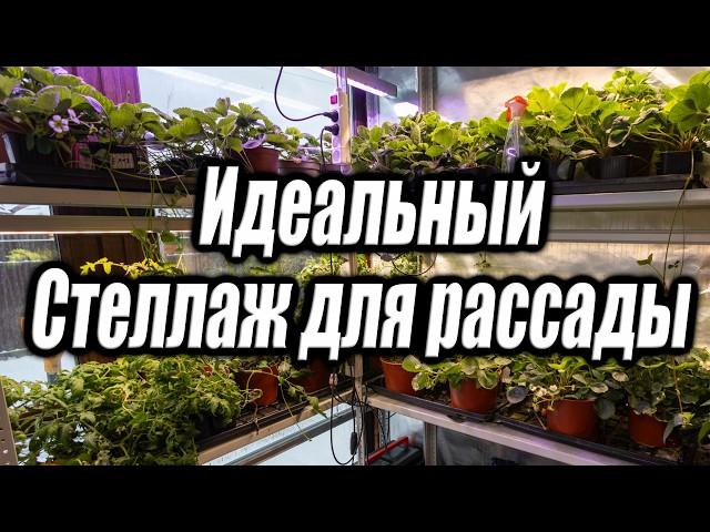 Как выбрать стеллаж для рассады и полного цикла