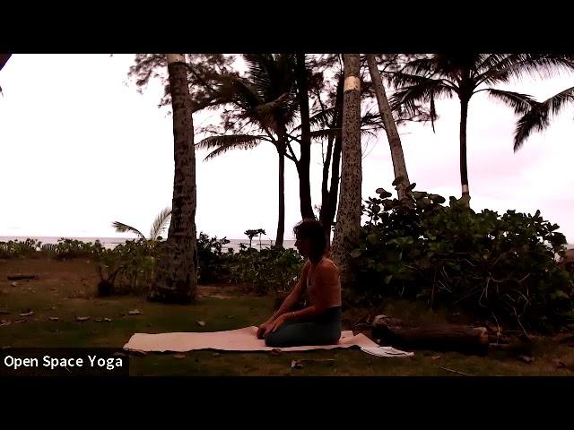 Mary Bastien Basic Yoga in Hawaii