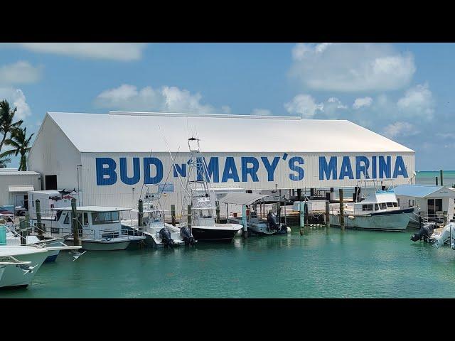 Exploring Bud n' Mary's Marina: The Heart of Islamorada in the Florida Keys