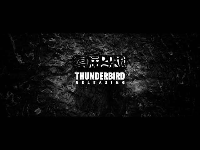 Thunderbird Releasing / Memento  / Motlys (Thelma)