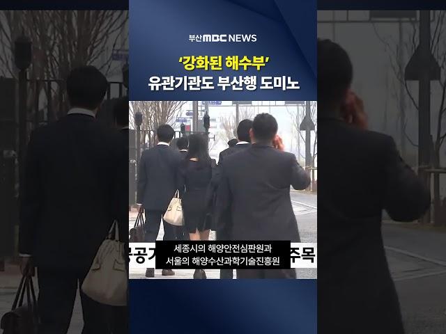 ′강화된 해수부′..유관기관도 부산행 도미노