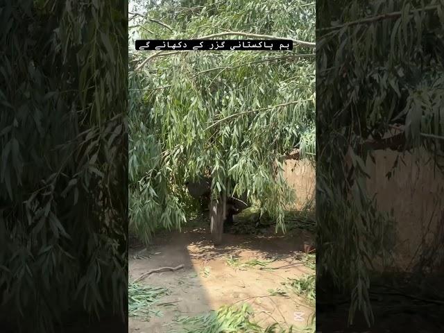 #technology# #funny#shorts#dr.shahzad.official