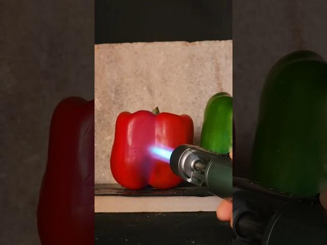 LIGHTER VS CAPSICUM 🫑 SATISFYING RESULTS #shorts #subscribe #lighters #burn #test #experiments