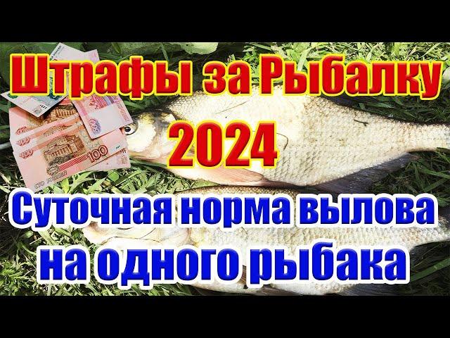 Штрафы за рыбалку 2024 Нормы вылова рыбы 2024 Рыболовные правила 2024 Новые правила рыболовства