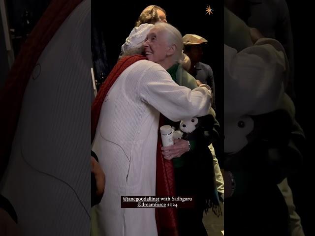 Sadhguru in San Francisco, USA 2024