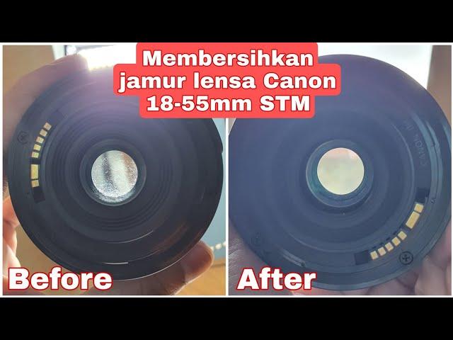 Cleaning fungus in Canon 18-55mm STM lens (Membersihkan jamur lensa Canon 18-55mm STM)