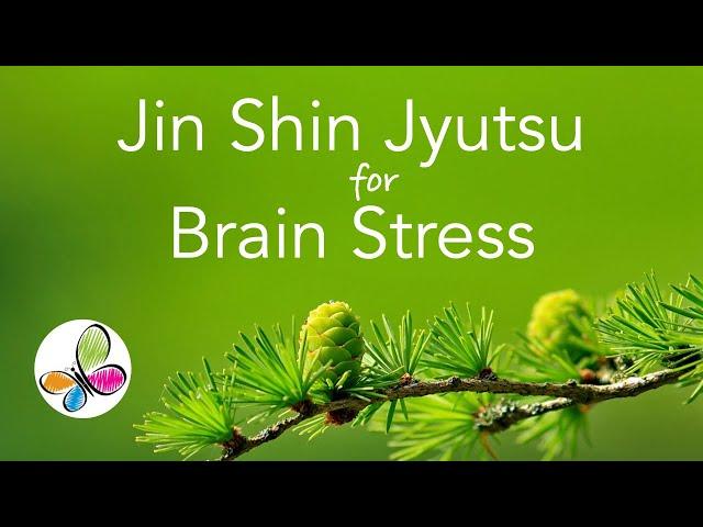 Jin Shin Jyutsu for Brain Stress