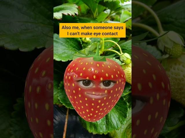 Autistic I don't like eye contact #autism #autistic #aspergers #funnyshort #аутизм #autismofeminino