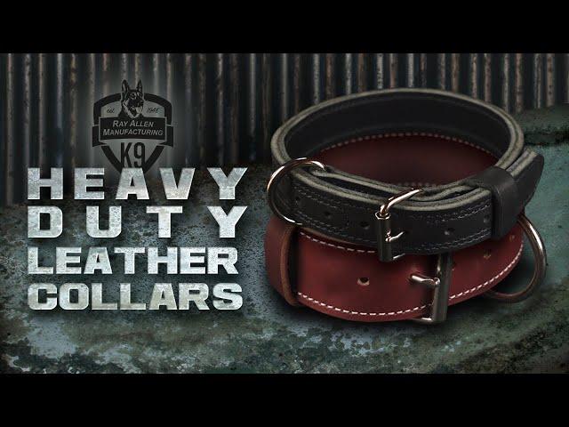 Heavy Duty Leather Dog Collars