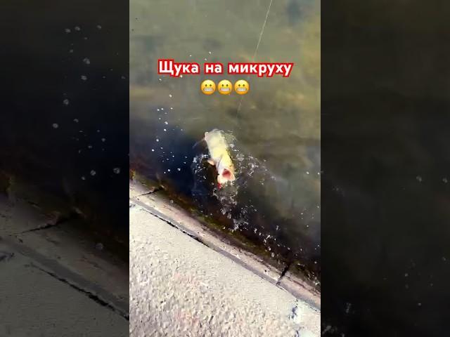 Как достать?! #рыбалка #fishing #спиннинг #рыбак #щука #микроджиг #lifefisher #шортс #pike