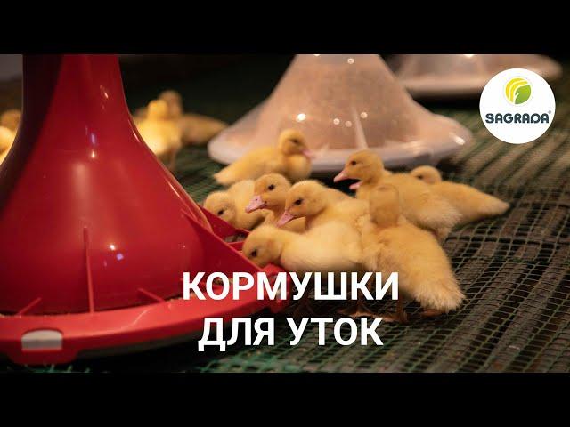 Кормушки для уток | Оборудование SAGRADA