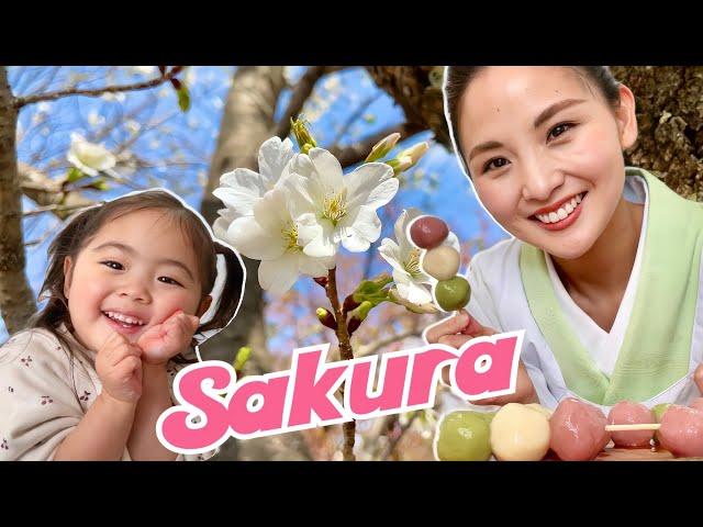 SAKURA dumplings! | Spring Japanese Sweets