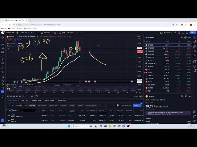 BULL RUN CRYPTO  PRICE PREDICTIONS EDUCATION STREAM