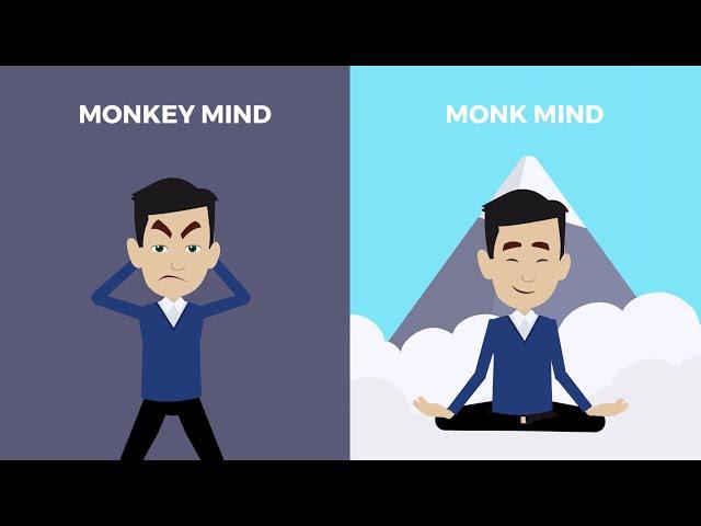 MONKEY Mind vs MONK Mind — The Power of Meditation