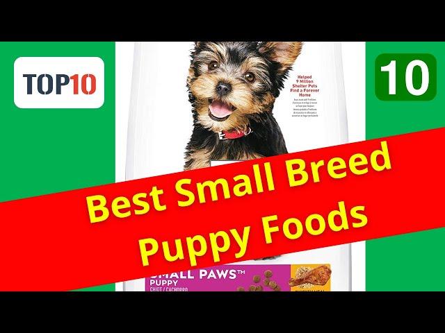 Top 10 Best Small Breed Puppy Foods- Hill’s Science Diet Small Paws Puppy Food(Reviews)Part 10