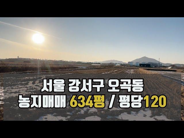 서울 강서구 오곡동 토지매매 농지매매 / 634평 평당120