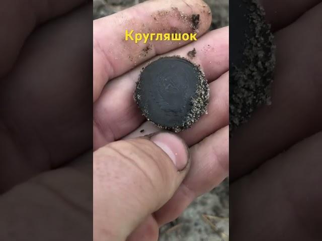 Пошук на лісовій дорозі біля озера #коп #metaldetecting #монета #скарб #камрад #onlinekopach