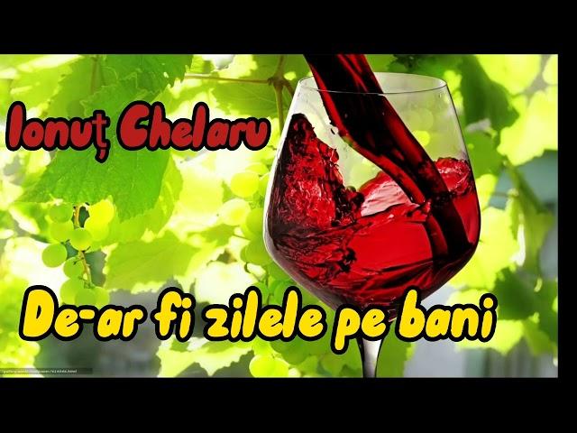 Ionuț Chelaru-De-ar fi zilele pe bani(Audio)