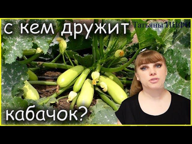 С чем рядом сажать кабачки и землянику: лучшие соседи для кабачка и земляники!!!