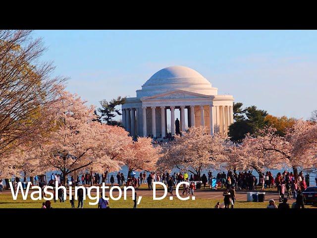 Washington D.C., USA - awesome capital during cherry blossom season and Arlington National Cemetery