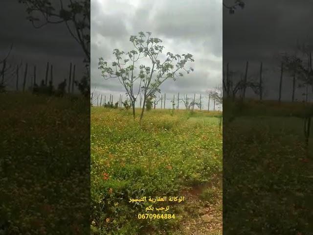 منظر رائع اهداء الى كل متابعي قناة الوكالة العقارية التيسير