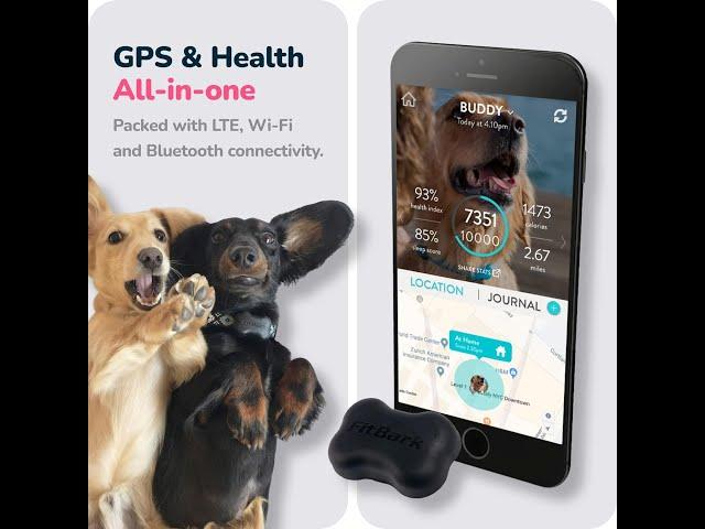 FitBark GPS Dog Tracker 2nd Gen: A Comprehensive Review #petlover #pets #pet #petrol