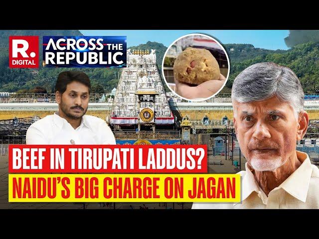 Tirupati Laddus Controversy: Massive Row Over Beef Fat & Fish Oil In Prasad | Jagan Vs Naidu