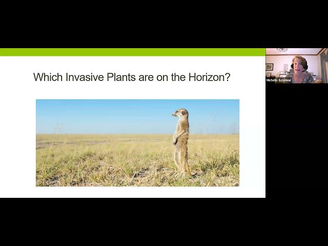 Invasive Species and what to watch out for!