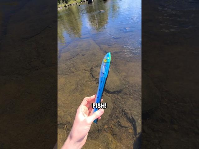 And it holds up to 8 pounds! 