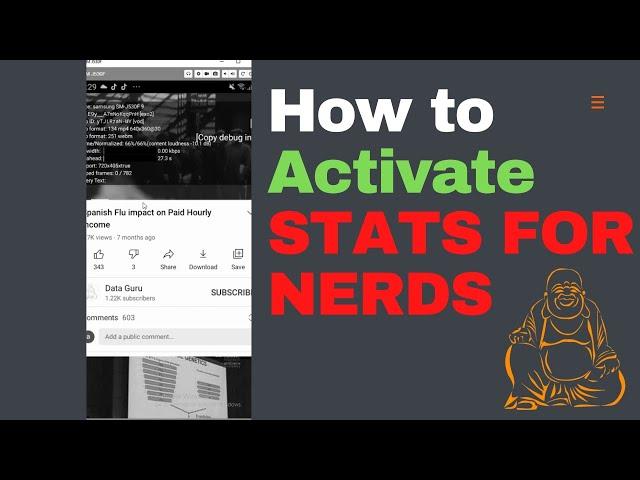 STATS FOR NERDS | Instructions | How to Activate NERD STATS