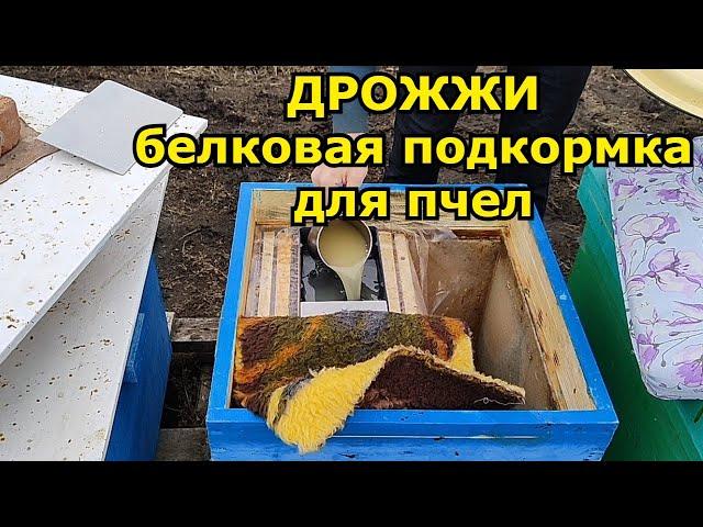 Дрожжевая подкормка пчел весной