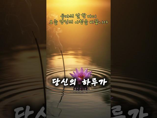 공자의 명언 한 마디가 당신의 아침을 바꿉니다 | 오늘의 한줄 명상 #공자명언 #불경명언 #아침명상 #1분명언 #삶의지혜 #짧은명언 #상처치유 #출근길명상 #유튜브쇼츠