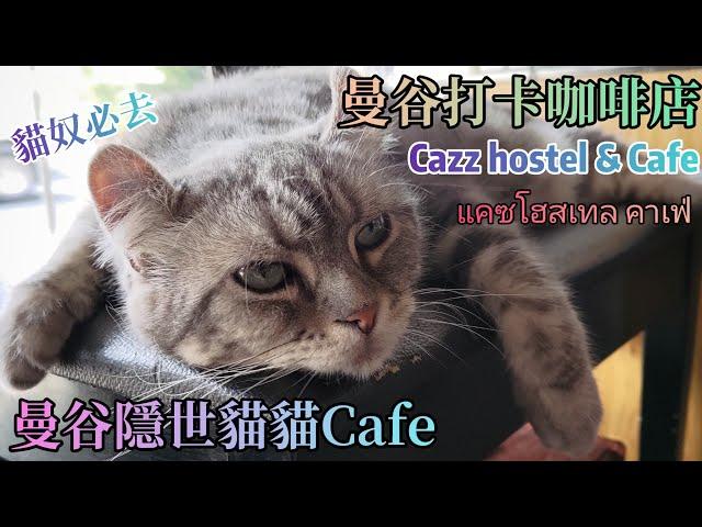 泰國曼谷️│Cazz hostel & Cafe │曼谷貓貓咖啡店│แคซโฮสเทล คาเฟ่ │Thailand│Bangkok│Phra Khanong