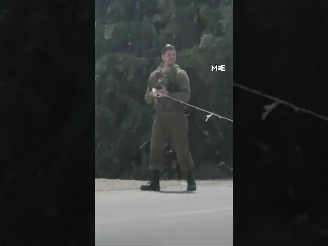 Israeli settlers drive out Palestinian shepherd from West Bank town