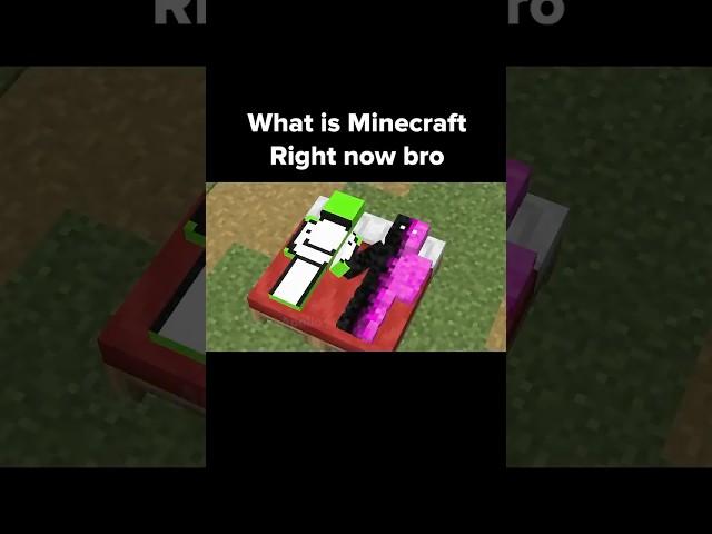 Minecraft Moment