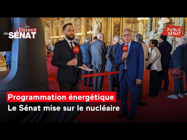 Programmation énergétique : le Sénat mise sur le nucléaire