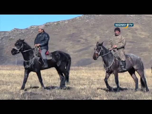 "Route to the future" #2 (08.04.2016)-Kazakh TV-eng