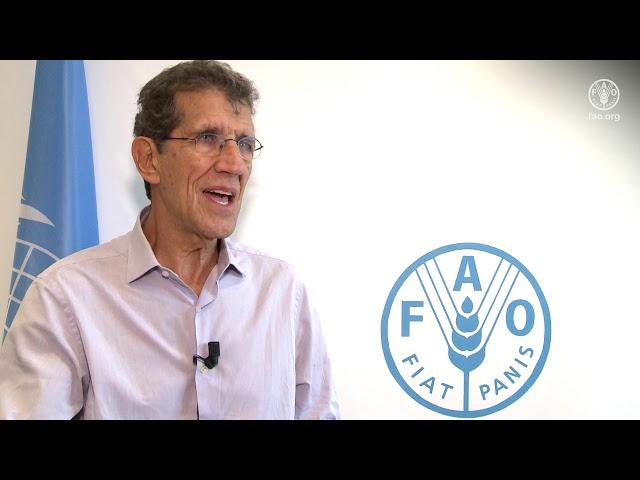 Declaration of Carlos Monteiro, Professor of Nutrition and Public Health, University of Sao Paulo