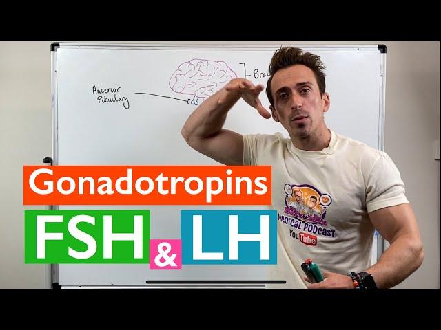 Gonadotropins | Follicle Stimulating Hormone (FSH) and Luteinizing Hormone (LH)