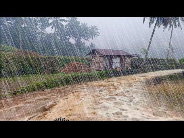 Walking in the pouring rain in a beautiful village, Indonesian village life, Sleep in 5 minutes