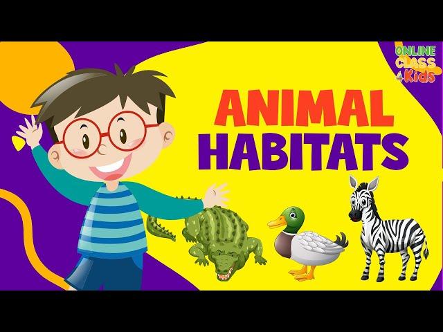 Animal Habitats | Animal Homes | Animals Video for Kids | Classification Of Animals On Habitat