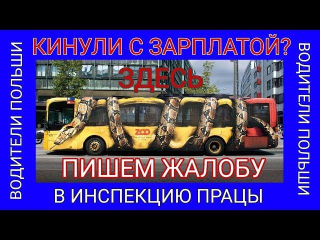 Водителем в Польше. Кинули с зарплатой? Пишем жалобу в Инспекцию Працы PIP.