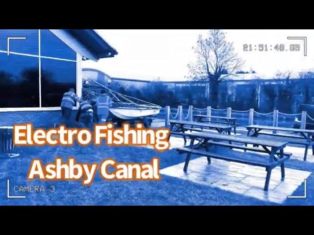 Electro Fishing The Ashby Canal / Zander Management